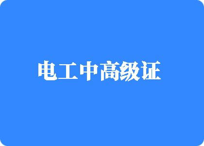 大鸡巴操逼视频中文字幕电工中高级证